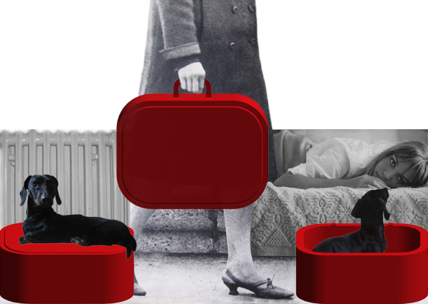 suitcase, dog, leather, black, holes, ventilation, red, advertising, woman