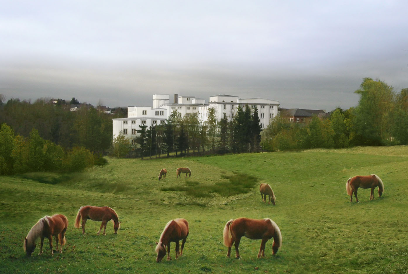 horses, pasture, green, meadow, building, winterling